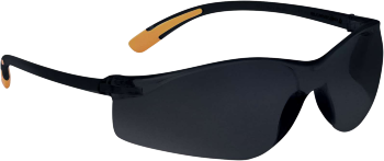 Deltaplus Schutzbrille Meia Smoke